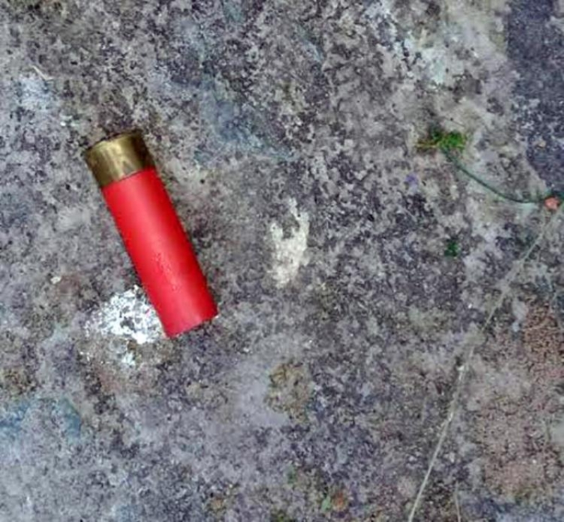 Cápsulas de espingarda  calibre 12 foram encontradas no local. (Reprodução/Blog Tom Ribeiro)