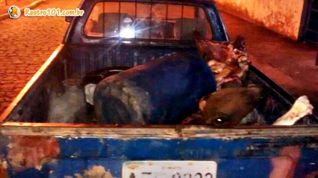 Veículo que seria usado para transportar a carne foi abandonado pelos bandidos. (Foto: Divulgação/PM)