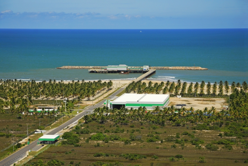 A Veracel produz em média 3.130t de celulose por dia, que são transportadas diariamente da fábrica ao terminal de Belmonte. (Divulgação)