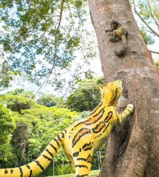 Esta exposição representa os diálogos que não conseguimos presenciar e que existem dentro das florestas, - destacou ao citar a cena de uma réplica de jaguatirica perseguindo sua presa. (Foto: ASCOM / Veracel)