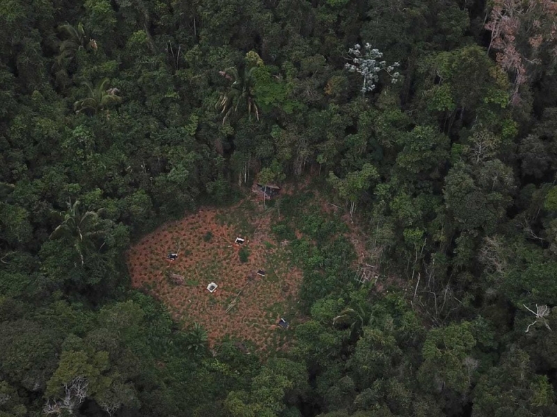 Um drone foi utilizado para localizar a plantação. (Divulgação: SSP-BA)