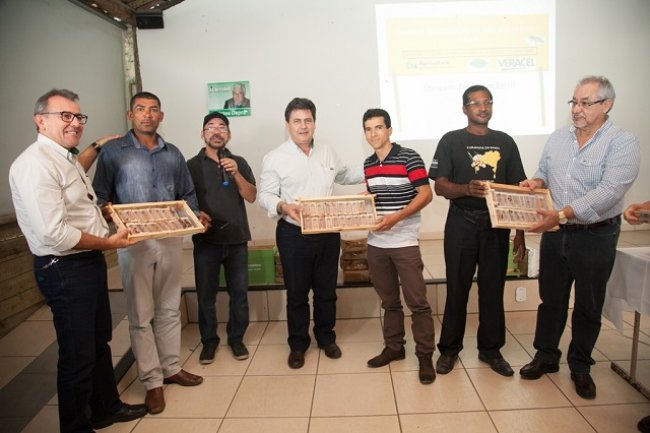 O Projeto Abelha Rainha é pioneiro e único no Brasil, garantindo a distribuição gratuita de abelhas rainhas de alta genética para estes apicultores do Sul da Bahia. (Foto: Divulgação)