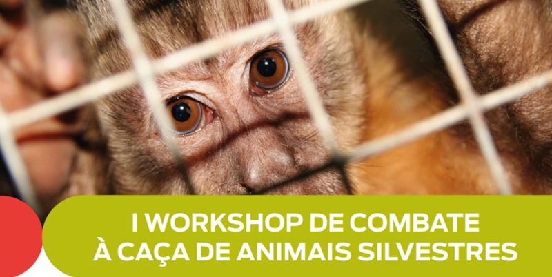 O Workshop tem como objetivo promover o debate de enfrentamento dos crimes contra a fauna no Sul e Extremo Sul da Bahia. (Imagem: Divulgação)