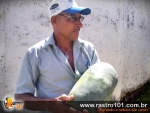 Candidato a vereador colhe pepinos de mais de 8 quilos em Itagimirim
