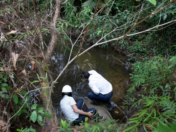 Veracel recebe reconhecimento inédito por conservação da biodiversidade em florestas plantadas