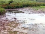 Situação do nível no Rio Limoeiro que abastece Itagimirim é crítica