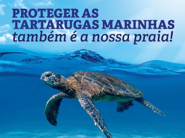 Monitoramento de tartarugas marinhas apresenta um dos maiores registros de atividades reprodutivas