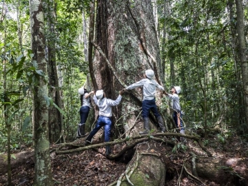 Veracel destaca seu compromisso com a proteção das florestas e recursos hídricos da Bahia