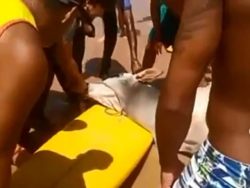 Boi morre afogado após entrar no mar para fugir de feira agropecuária