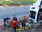 Caminhão carregado de bois tomba na pista em Itabela