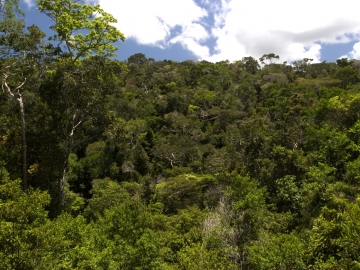 Sul da Bahia é destaque em preservação ambiental