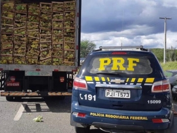 PRF apreende caminhão com mais de 200 mil maços de cigarro clandestino na Bahia